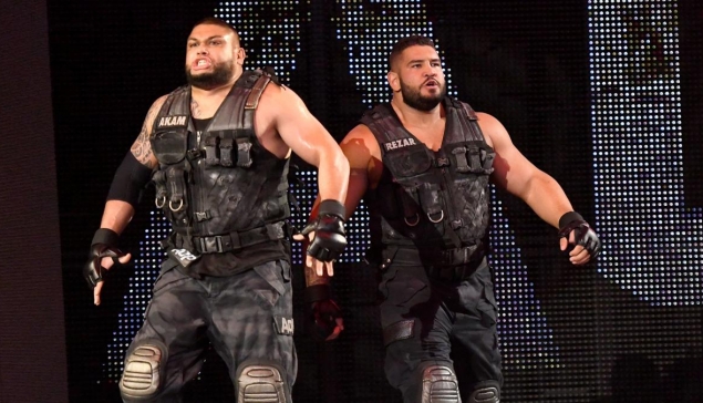 L'équipe Authors of Pain absente plusieurs mois ?