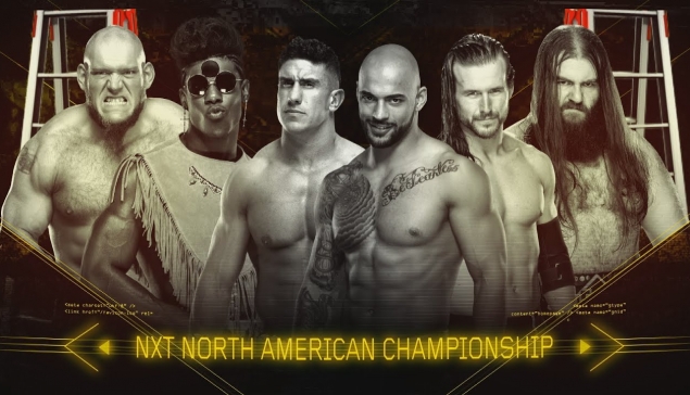 Il ne reste plus personne du premier Ladder Match pour le titre Nord-Américain de NXT
