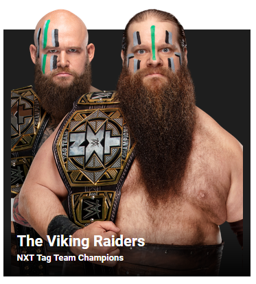 viking raiders